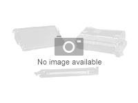 Xerox Phaser 7500 - (220 V) - kit unité de fusion - pour Phaser 7500 115R00062