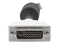 StarTech.com Câble d'écran Dual Link DVI-D 5m - M/M - Câble DVI - liaison double - DVI-D (M) pour DVI-D (M) - 5 m DVIDDMM5M