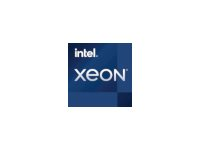 Intel Xeon E-2388G - 3.2 GHz - 8 cœurs - 16 filetages - 16 Mo cache - LGA1200 Socket - OEM CM8070804494617